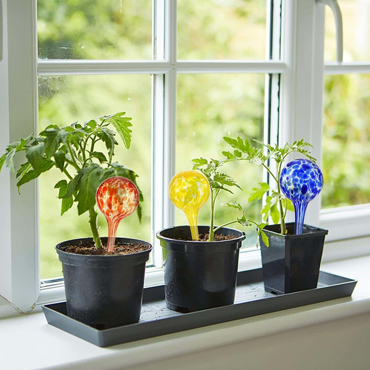 Watering Globes Plant Glass Bulbs Watering Bulbs Plant Self-Device Plant Watering Globes Watering Devices