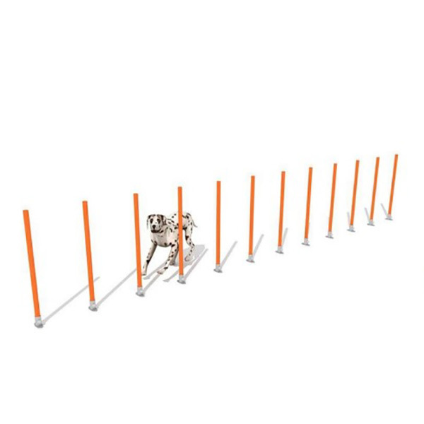 Pet agility training set PE board material Dog jumping obstacle training Jumping circle around the pole Dog trainer pet supplies