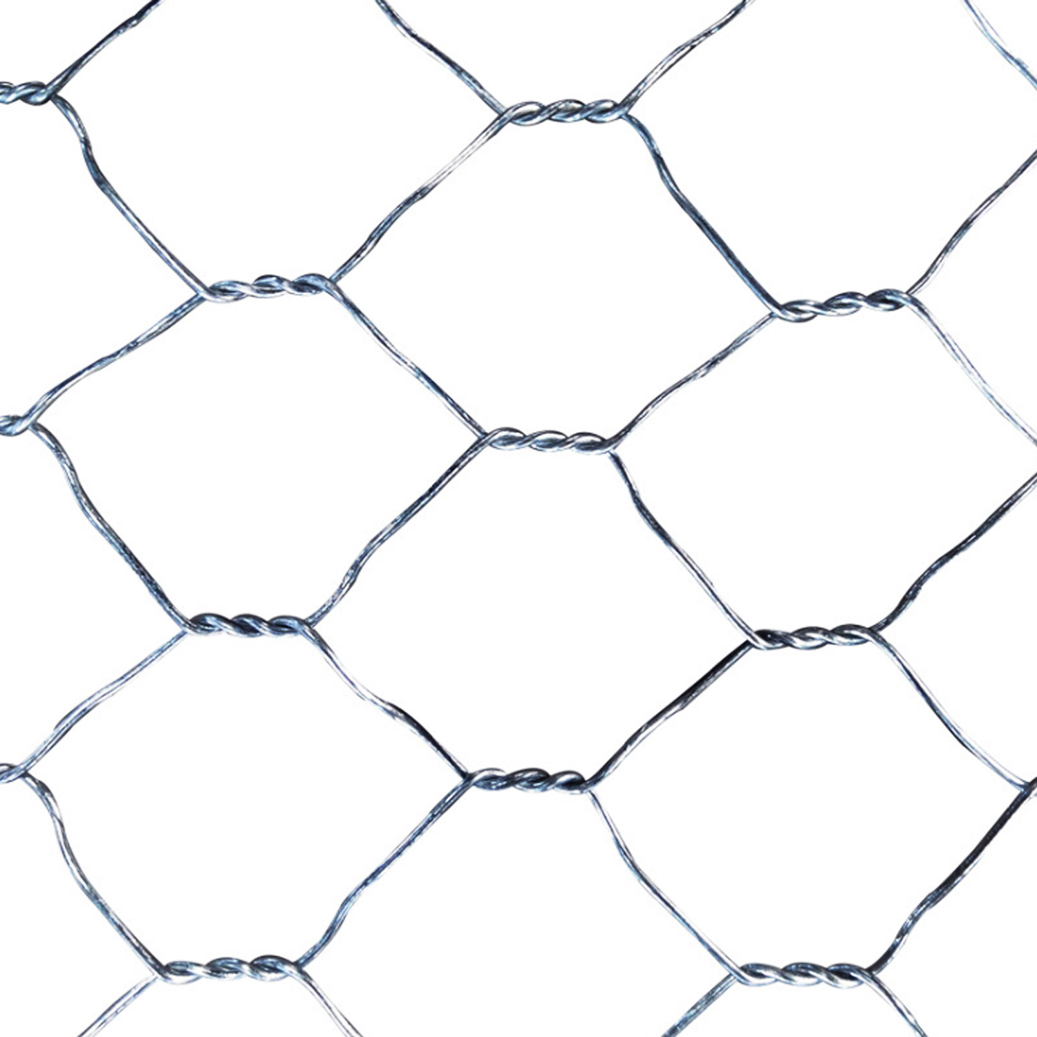 Latest Stainless Steel Wire Mesh From Shandong