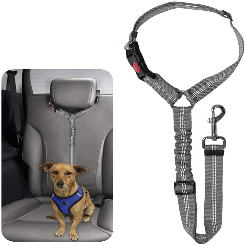 Wholesale Multifunctional Training Waist Strap Adjustable Reflective Nylon Bungee Safety Pet Cat Leash Dog Car Seat Belt