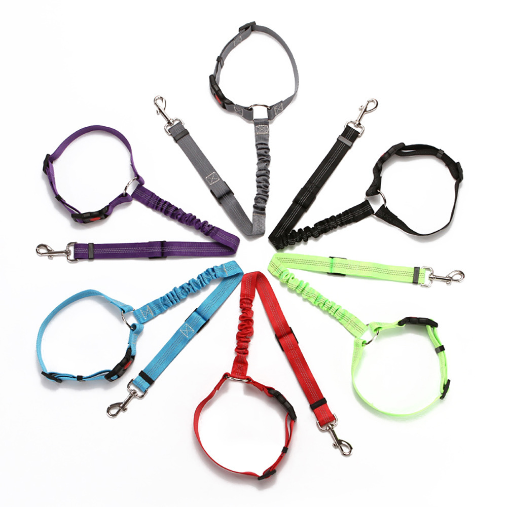 Factory pet supplies Multi color cat Dog pet Collars and leashes set dog shake necklace rope choke chain with metal