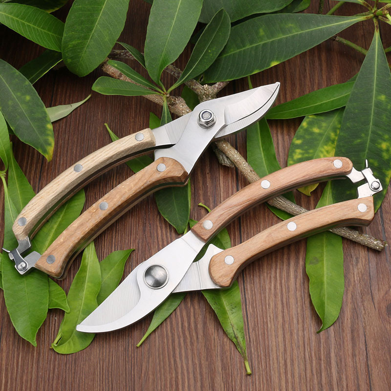 High Quality  Garden Tools  Long Life Time Safety Lock Design flower Scissors Pruning Shears