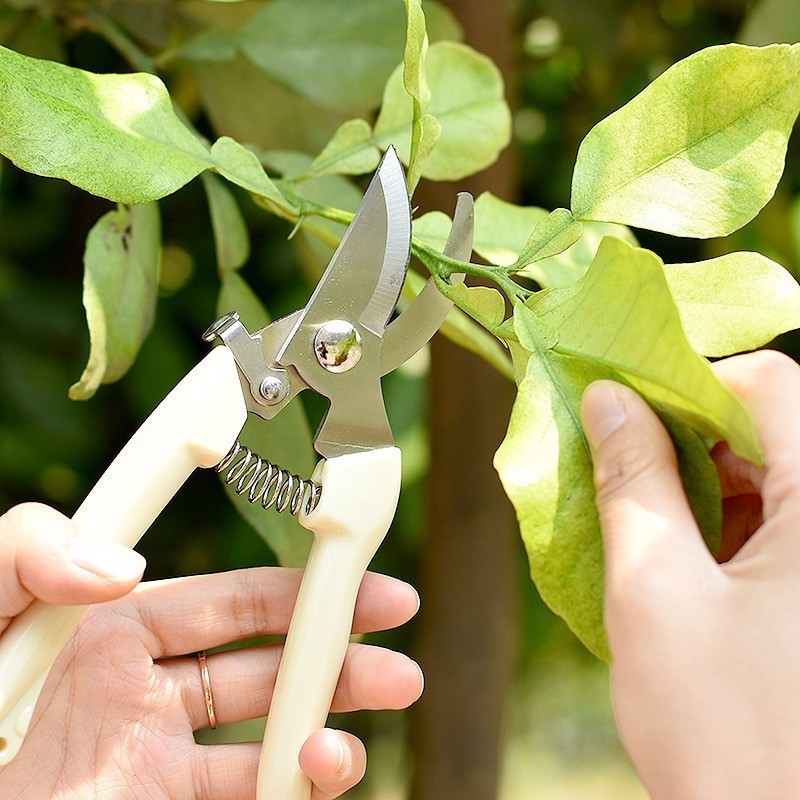 New product cheap garden tools thickened garden  shears  garden pruning scissors potted pruning shears