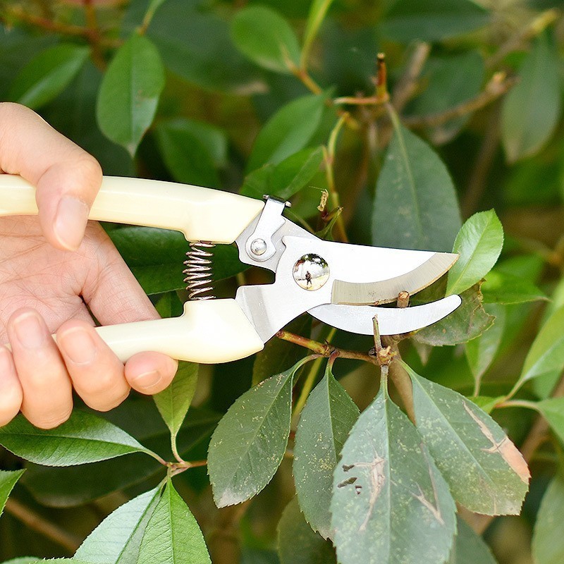 New product cheap garden tools thickened garden  shears  garden pruning scissors potted pruning shears