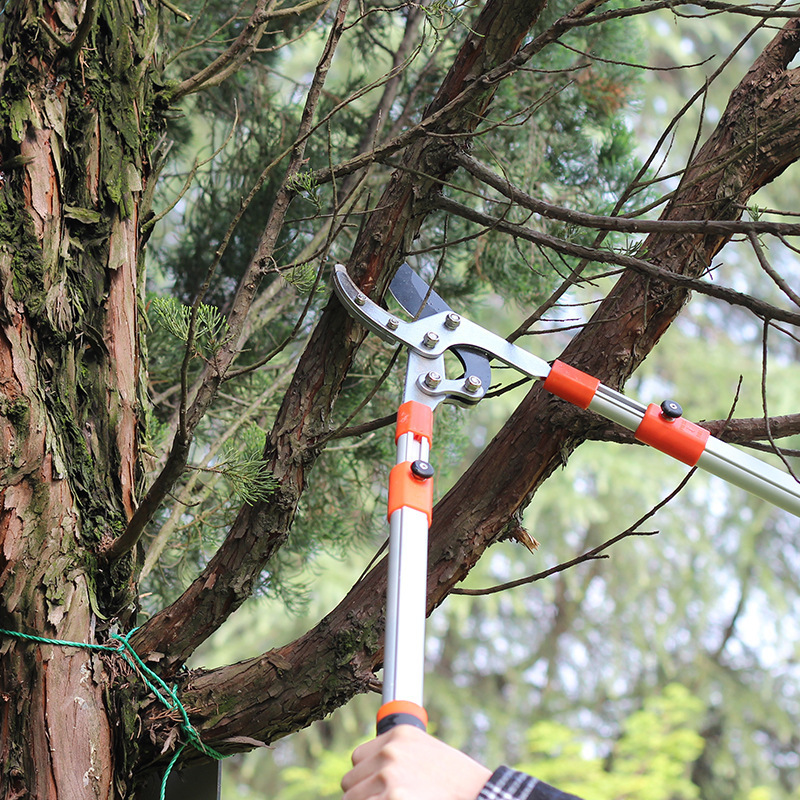 New Design Super Telescopic Tree Bypass Pruner/Lopper long handle  Tree Trimmer Cuts Garden Lopper