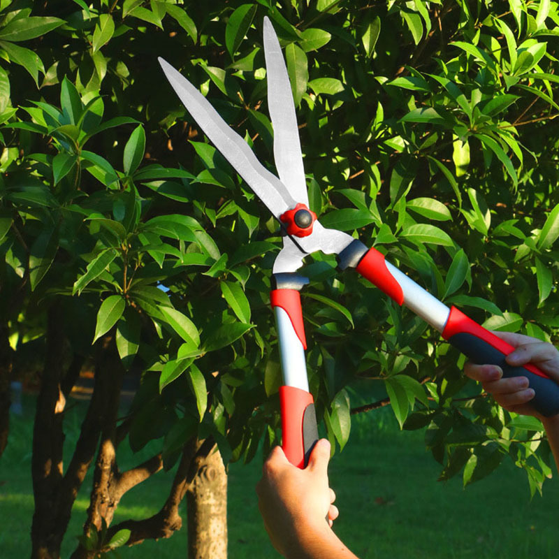 Popular SK5 alloy steel curved blade rubber non-slip handle hedge shear tree branches hedge shear vigorously