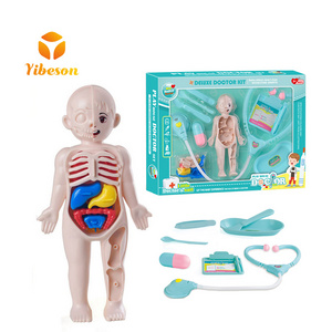 STEM DIY Kid Science Experimental Lab Kit Set Dissecting Removable Parts Skeleton Organ Torso 3D Model Human Body Anatomy Toy