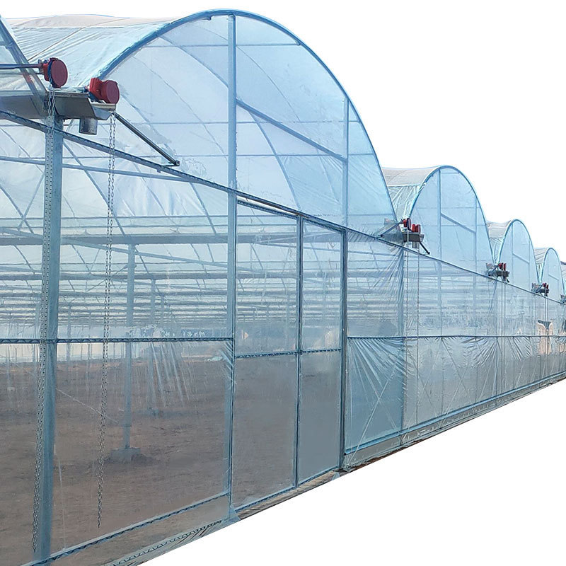 China Supplier Commercial Greenhouse Used for Sale Greenhouses for Agriculture