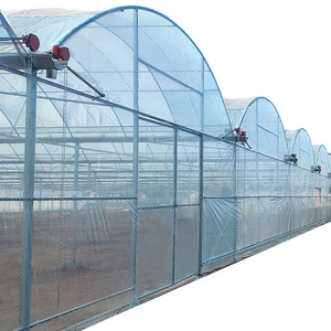 China Supplier Commercial Greenhouse Used for Sale Greenhouses for Agriculture