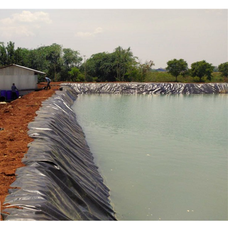 Waterproof membrane 45 60 mil pond liner 30x30 tarpaulin water tank 0.5mm 0.75mm hdpe geomembrane fish farm pond liner