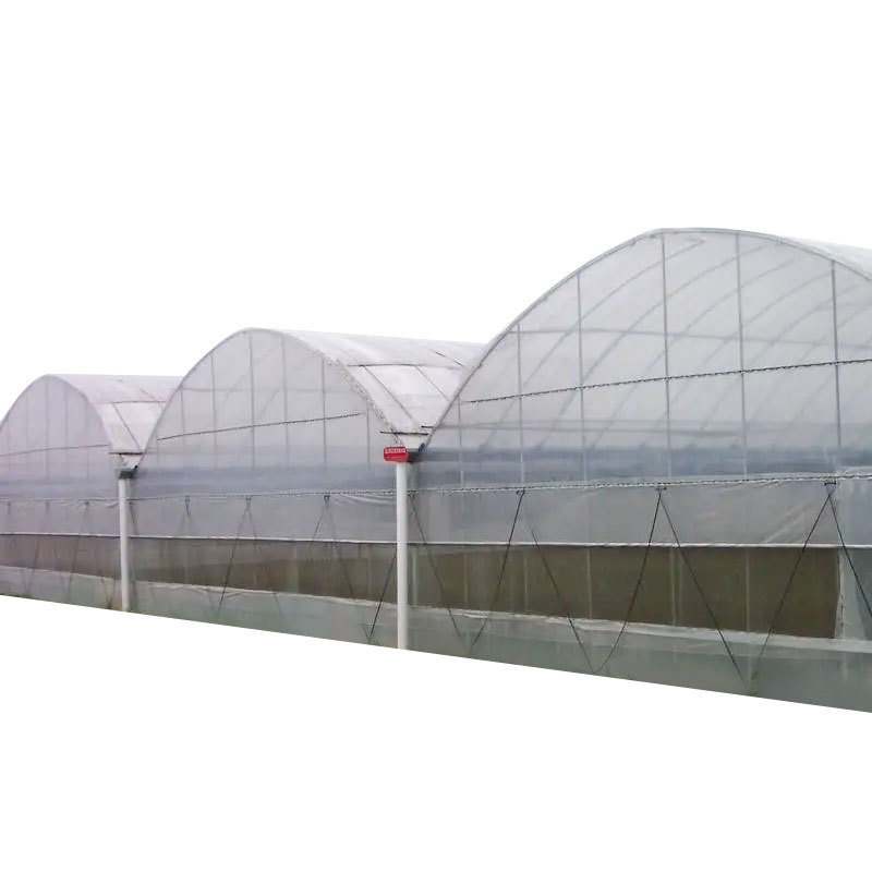 China Supplier Commercial Greenhouse Used for Sale Greenhouses for Agriculture