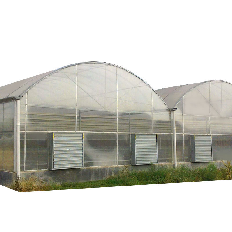 China Supplier Commercial Greenhouse Used for Sale Greenhouses for Agriculture