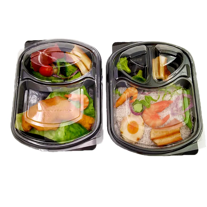 OEM and ODM customize Disposable plastic take away bento lunch box food container