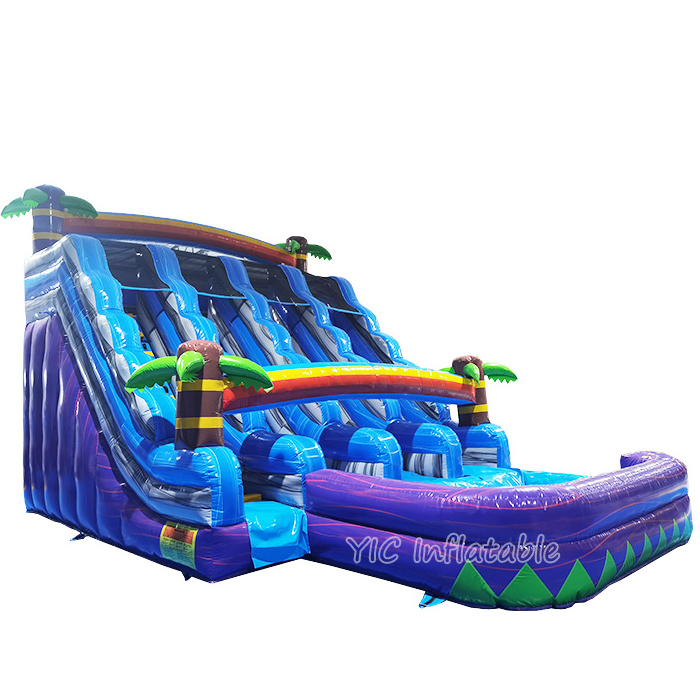 Hot Selling Commercial Inflatable Water Slide Giant Rock Climbing Slide with Removable Pool for Party Rental