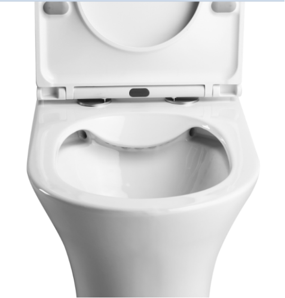 Modern pedestal uk watermark cistern ceramic ptrap rimless wc pott japanese two piece toilet bowl