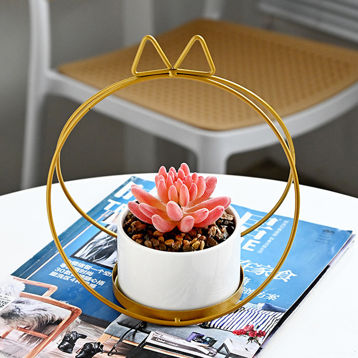 Hot Sales Mini Ceramic Succulent Flower Pots with Metal Stand Birthday Gifts for Women Pack of Kits for Plant Lovers