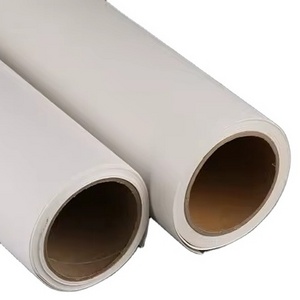 Glossy Matte Digital Printing Canvas Fabric Roll Coated Banner Roll Advertising Material