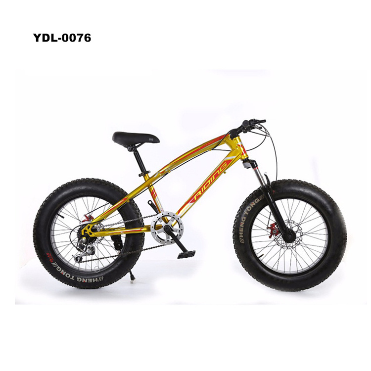 Factory Double Disk Bikes 20 Inch Beach Bicycle Fat Tire Snow Mountain Bike