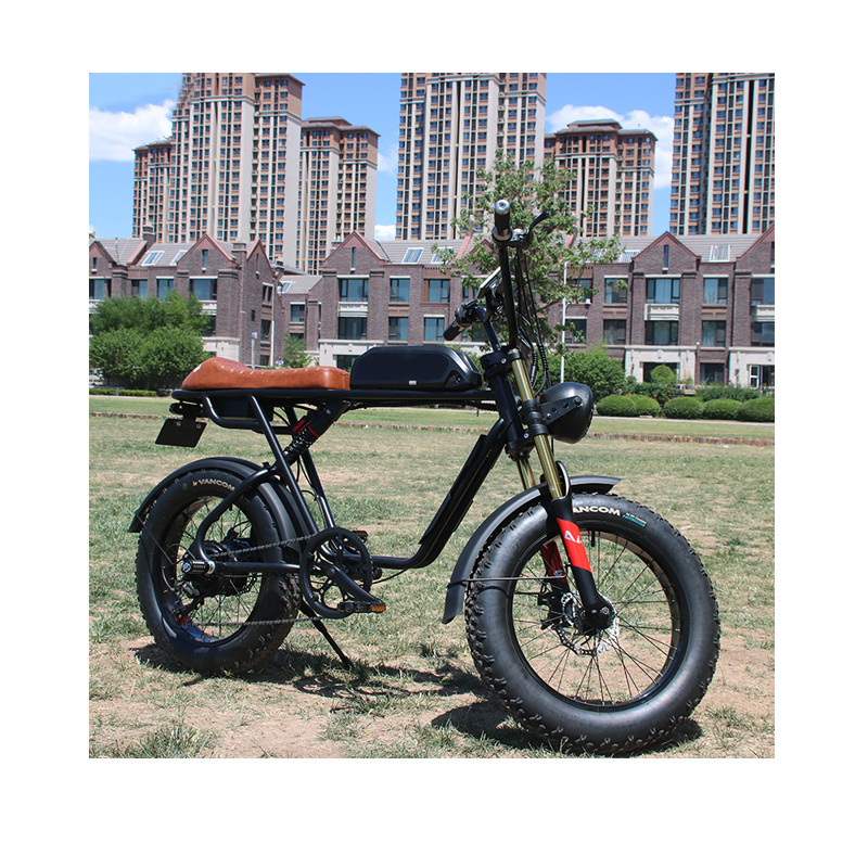 Super 20 Inch 73 500W 750W 1000W motorcycle Electric Fat Tire City e Bike 48V Removable Lithium Battery Mountain Bicycle ebike