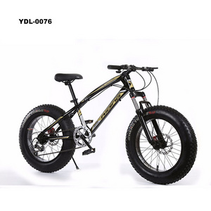 Factory Double Disk Bikes 20 Inch Beach Bicycle Fat Tire Snow Mountain Bike