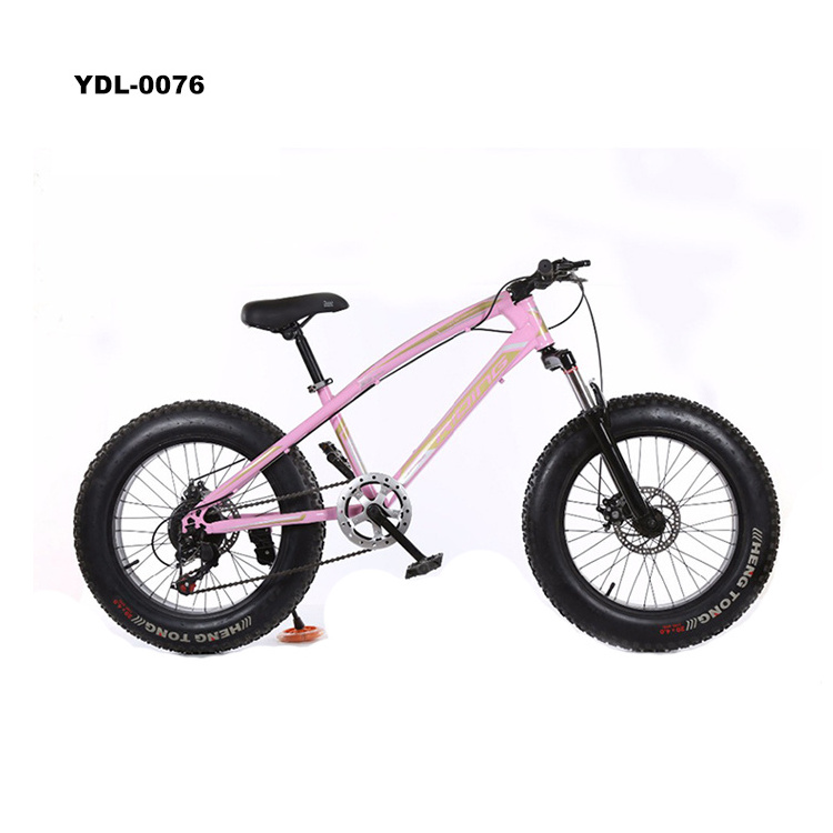 Factory Double Disk Bikes 20 Inch Beach Bicycle Fat Tire Snow Mountain Bike