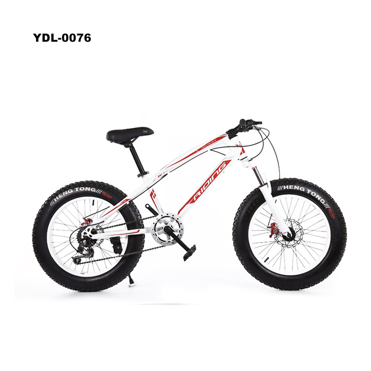 Factory Double Disk Bikes 20 Inch Beach Bicycle Fat Tire Snow Mountain Bike