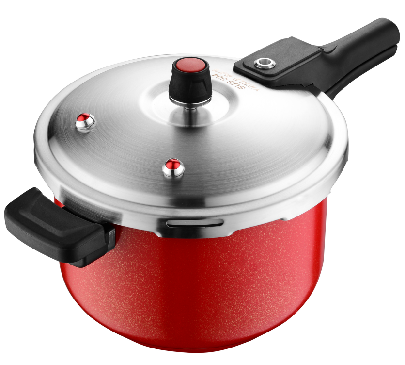 stainless steel pressure cooker