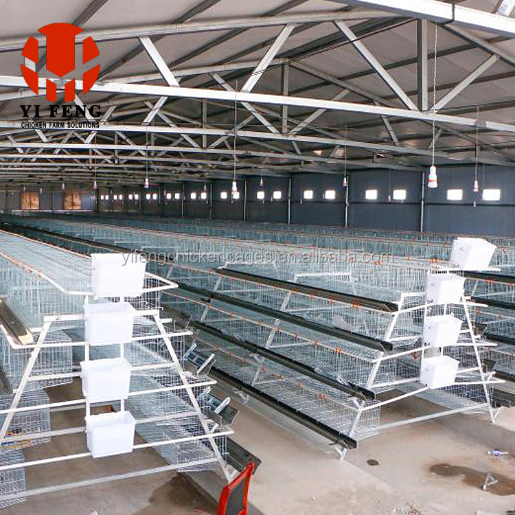 Good quality low price chicken broiler cage for meat chicken farm