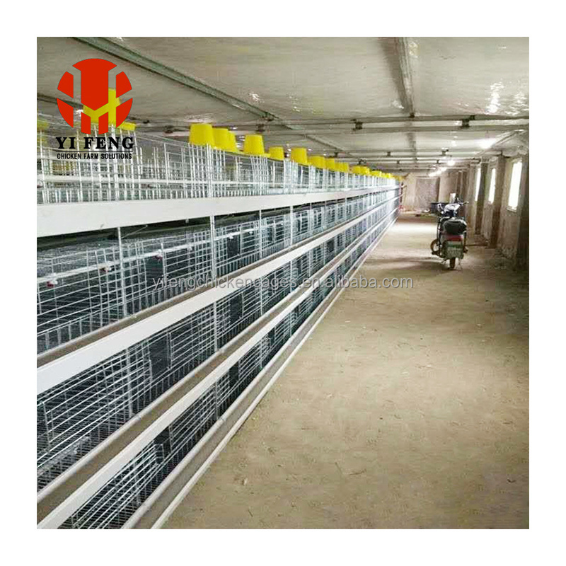 Automatic H Type Galvanized Battery Baby Chicken Cages Chicken Coops