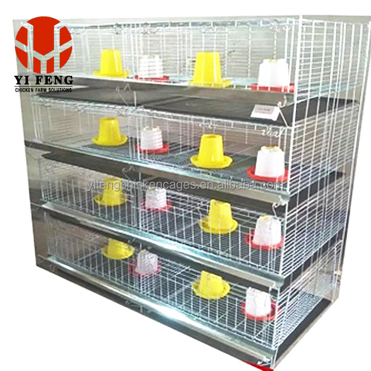 Automatic H Type Galvanized Battery Baby Chicken Cages Chicken Coops