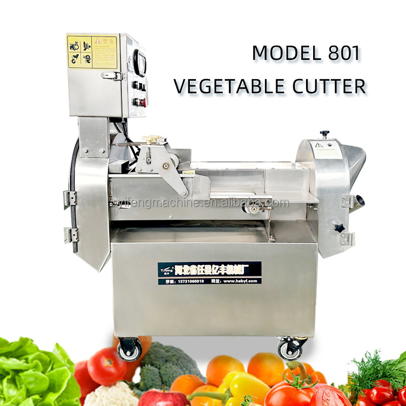 Automatic Pumpkin coconut mango plant cutter cutting dicing green beans vegetable cutter for electric leaves chopper machine