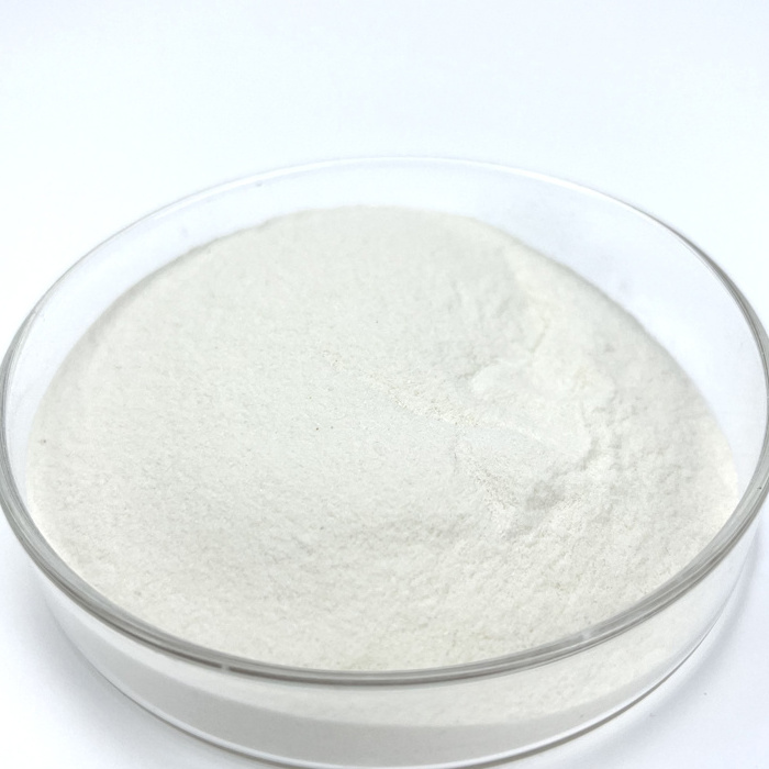 Building Waterproofing Chemical Additives RDP/VAE/EVA Redispersible Latex Powder for Ceramic Tile Adhesive