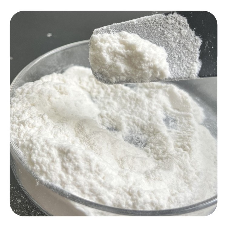 Best Selling Tile Adhesive Additive Redispersible Polymer Powder White Cement for Wall Putty