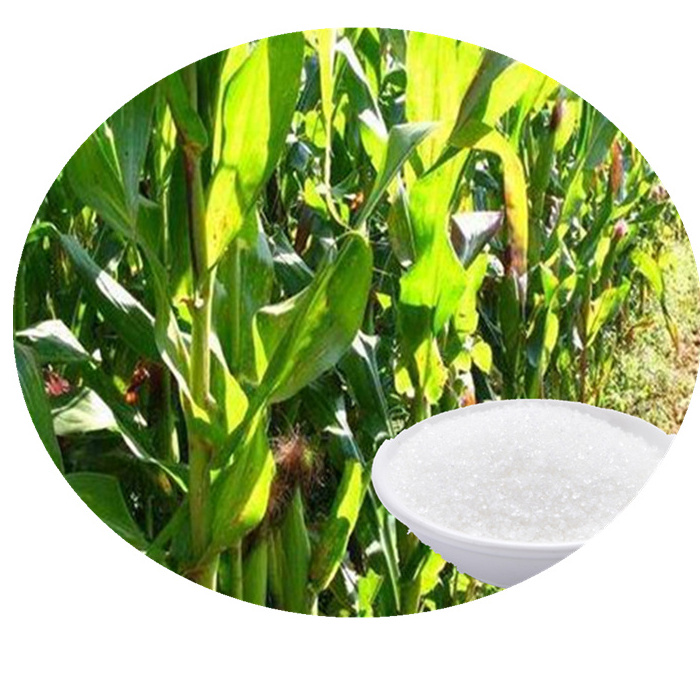 Water Saving Potassium Polyacrylate Hydrogel for Agriculture