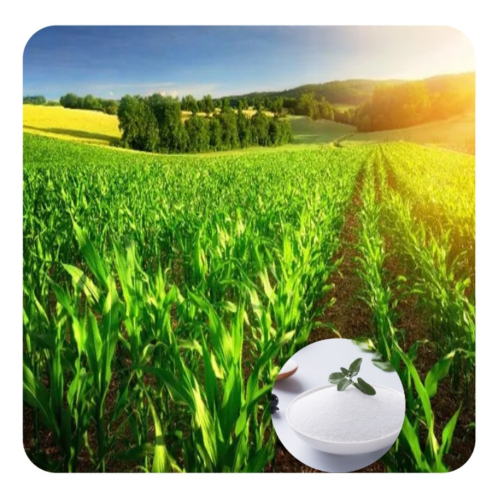 Water Saving Potassium Polyacrylate Hydrogel for Agriculture