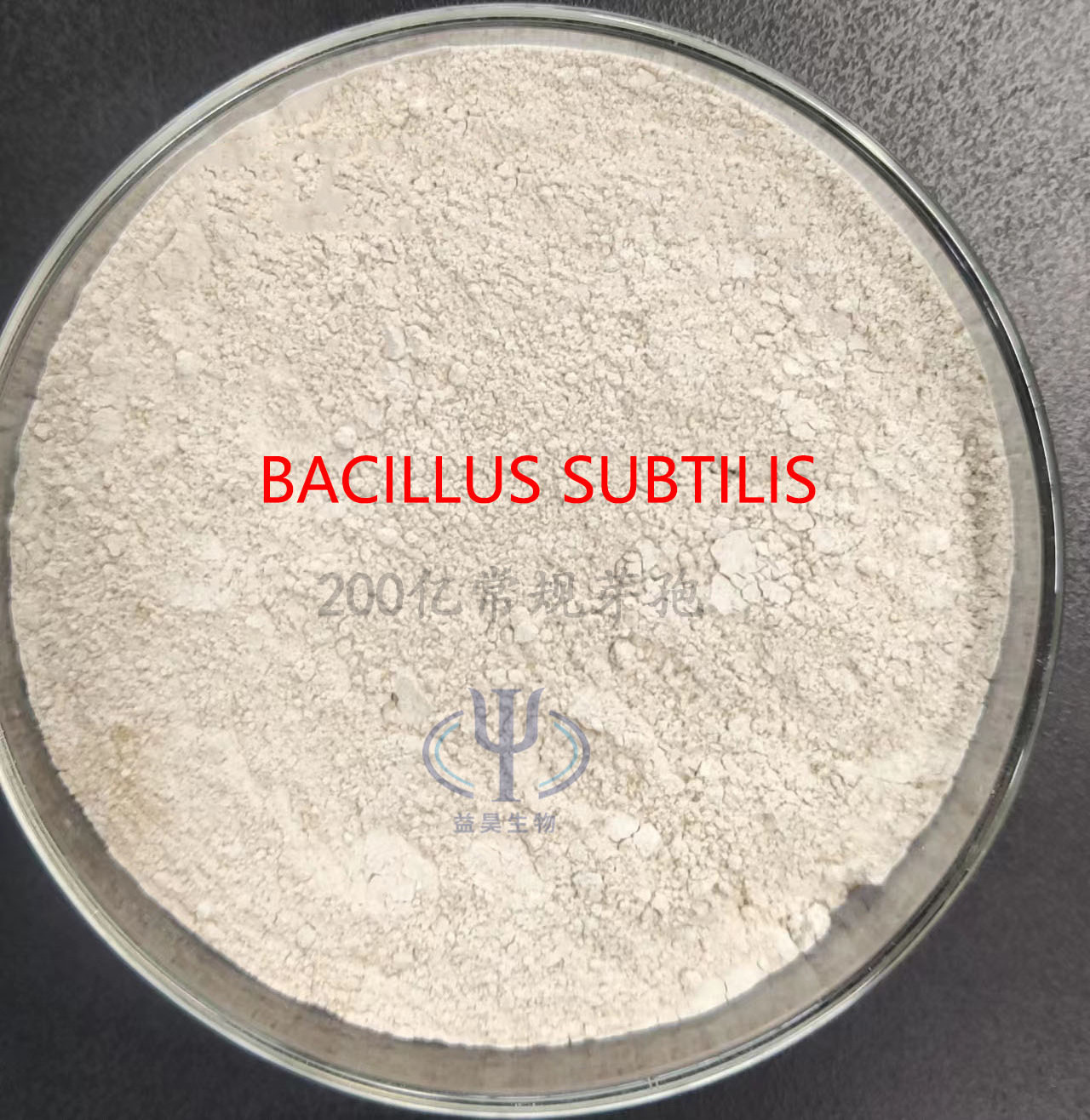 Factory Wholesale Supply of Powdery Bacillus Subtilis Fish Feed Probiotics Chinese China Fish Food Brown Fish Meal Catfish Feed