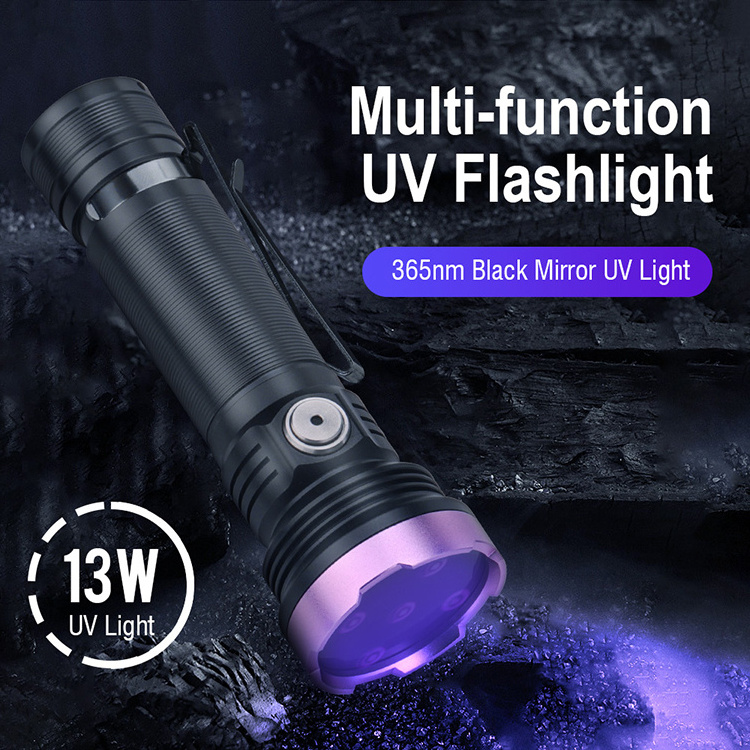 Boruit UV Flashlight 13W 365nm Mini USB Rechargeable Ultraviolet LED Light for Ore Cat tinea skin Scorpion Money Checker