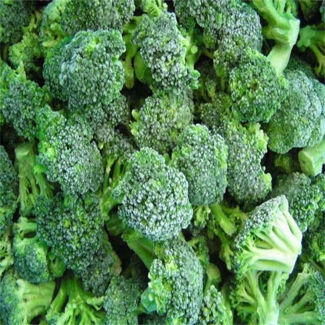 High Quality IQF Frozen Broccoli Florets Frozen Vegetables  with Cheap Price