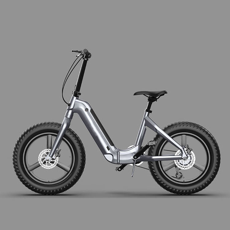 48V 20 inch ebike fat tire step through electric bike folding e bike 750w Aluminum Alloy electric bicycle