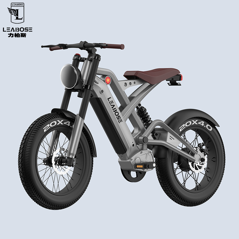 EU Warehouse In Stock Fat Tire Electric Bike 20inch Off Road E bike Price 750W Motor 20ah Battery Beach Cruiser Electric Bicycle