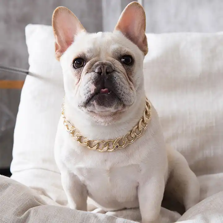 Hot Sales New Design Pet Dog Collar Chains Best Selling Hip Hop Fashion Simple Collar Chain Cat Pet Cuban Chain Necklace For Dog