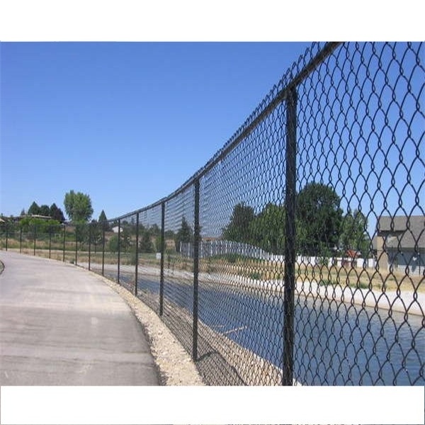 Low Price Chicken/Cattle /Livestock Fence Galvanized Chain Link Wire Mesh net