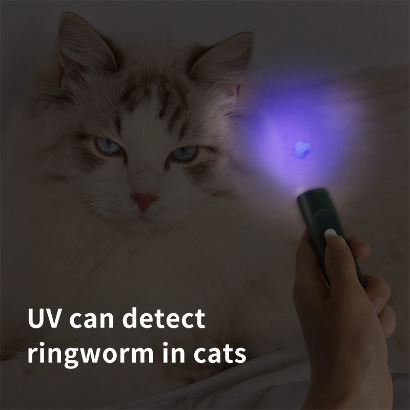 Cat  Funny Feather Toy Electric Laser Stick UV Light USB Charging Pet dog Interactive Toys For Cats