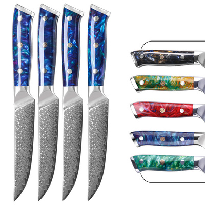 5 Inch High Quality 67 Layers Damascus VG10 Steel Steak knife Set With Resin Handle