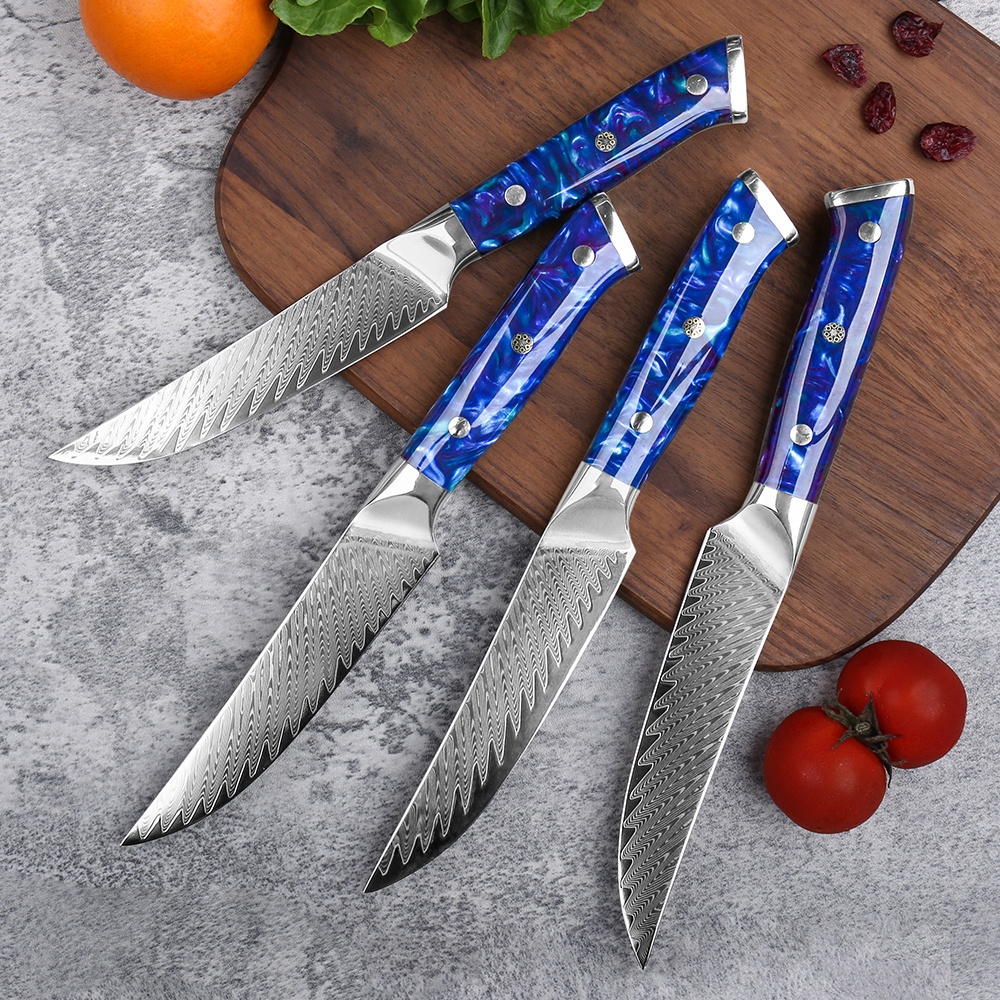 5 Inch High Quality 67 Layers Damascus VG10 Steel Steak knife Set With Resin Handle