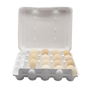 Custom Molded Paper Eco-Friendly Chicken Egg Carton Egg Box Cartons Packing Box