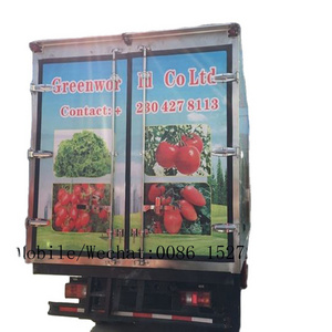 HOWO 4x4 RHD 5T THERMO KING Cold Storage Truck Fruit Fish Ice Cream Vegetable Delivery Truck 8T Refrigerator Truck