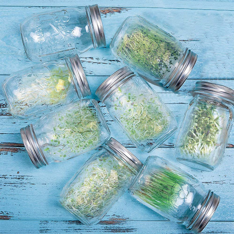 Kitchen Gadgets 2022 Glass Mason Jar Seed Sprouting Jar With Stainless Steel Sprouting Lids And Ceramic Plate