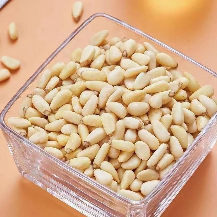 Chinese Quality Bulk Dried Fruit Pine Nuts the Shelled Pine Nut Kernels