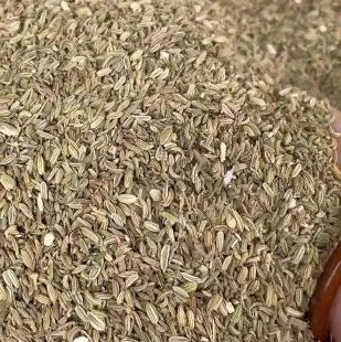 Xiao Hui Xiang Fructus Foeniculi Suppliers Fennel Seed